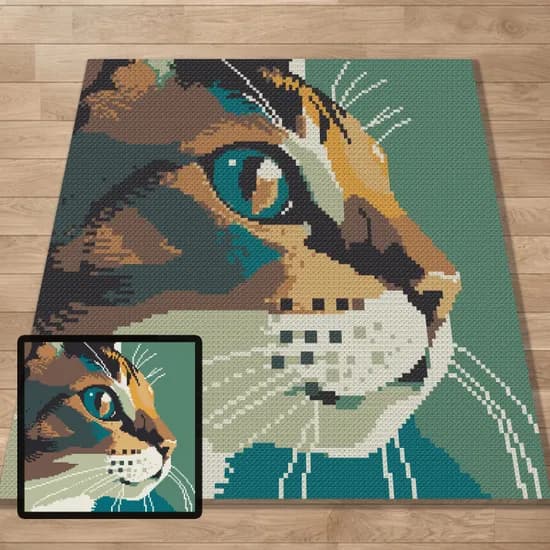 Graph, Pattern, C2C and Tapestry Crochet, Crochet, Blanket, Afghan, PDF, instant download, Kids blanket, Gifts, c2cCAT03